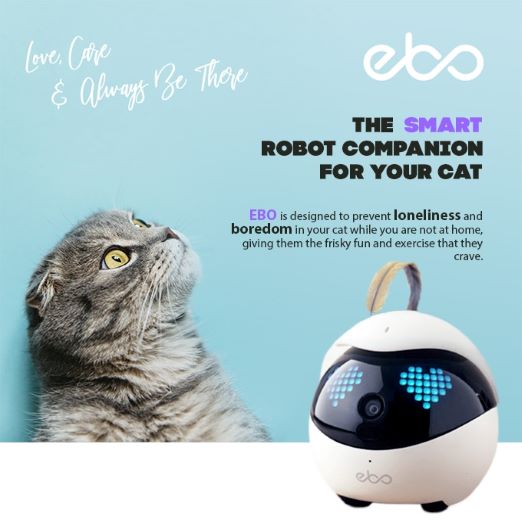 Ebo, The Smart Robot Ebo, The Smart Robot